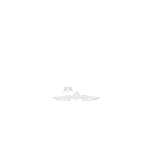 Stingray