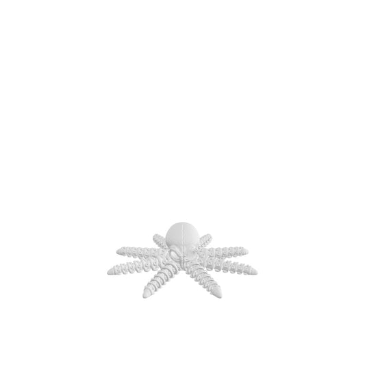 Octo